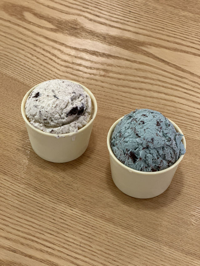 언제 먹어도 맛있는 조합, 배스킨라빈스 -성신여대점-