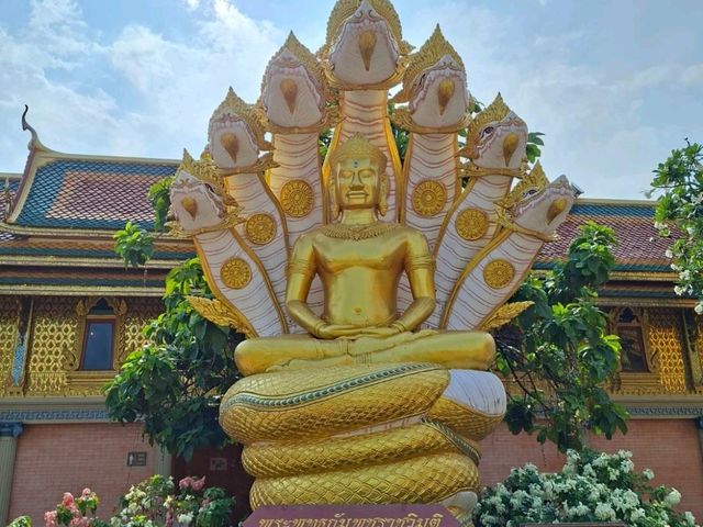 ชมเขตพุทธาวาสแห่งอนันตจักรวาล✨️