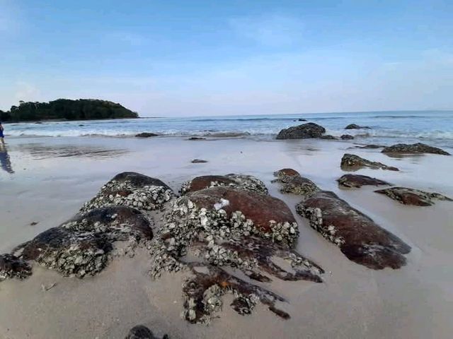 เกาะรอก อุทยานแห่งชาติหมู่เกาะลันตา