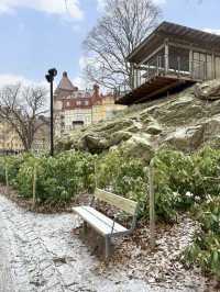 Slow Strolling in Stockholm – History, Meatballs & Cozy Breaks