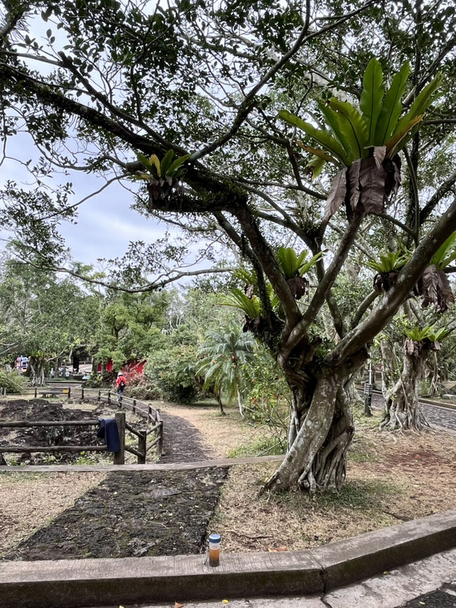 Discovering Hainan’s Ancient Volcanoes at Leiqiong Geopark 🌋