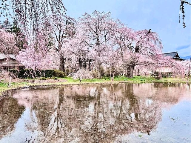 Chill Blossoms and Temple 