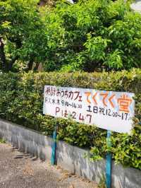 【山口グルメ】発酵おうちカフェてくてく堂