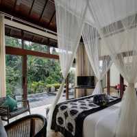 A Sanctuary Carved into Nature’s Embrace