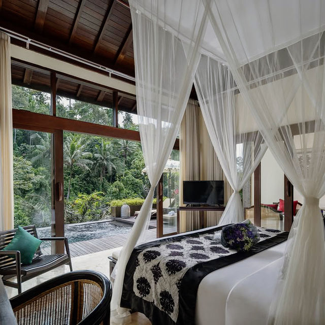 A Sanctuary Carved into Nature’s Embrace