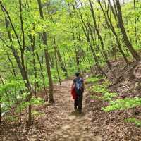 Odaesan National Park – Korea's Tranquil Mountain Escape