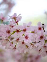 Royal Botanic Gardens – London’s Autumn Masterpiece