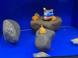 【Hokkaido】A place to experience drift ice all year round【Okhotsk Drift Ice Museum】.