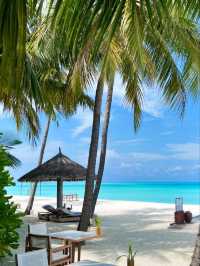  The Nautilus Maldives Resort: Your Private Island Dream, Unscripted 🌊