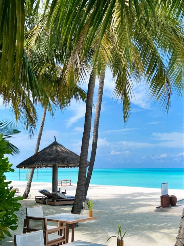  The Nautilus Maldives Resort: Your Private Island Dream, Unscripted 🌊
