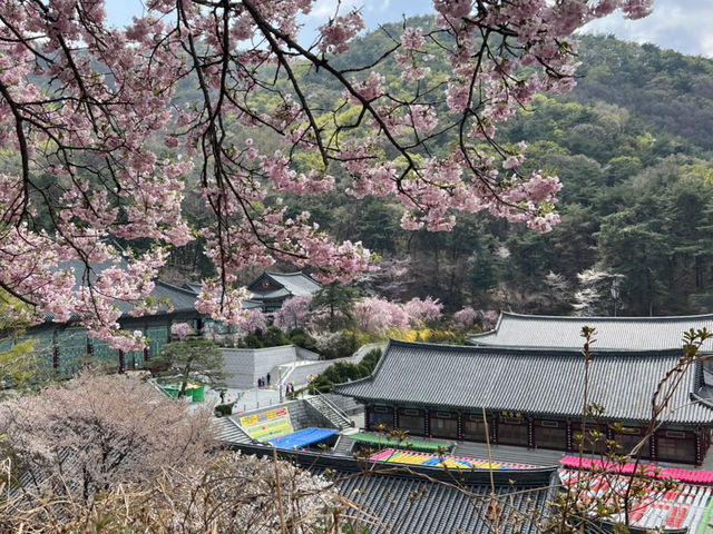 천안 아산 1박 2일 여행