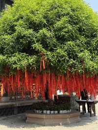 Serene temple next to busy Taikoo Li