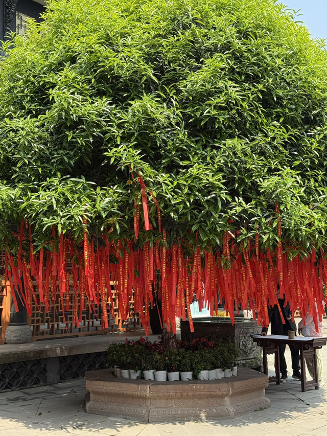 Serene temple next to busy Taikoo Li