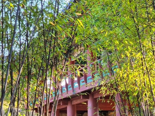 삼척가을의빛이 가득한💛 [국보 죽서루]