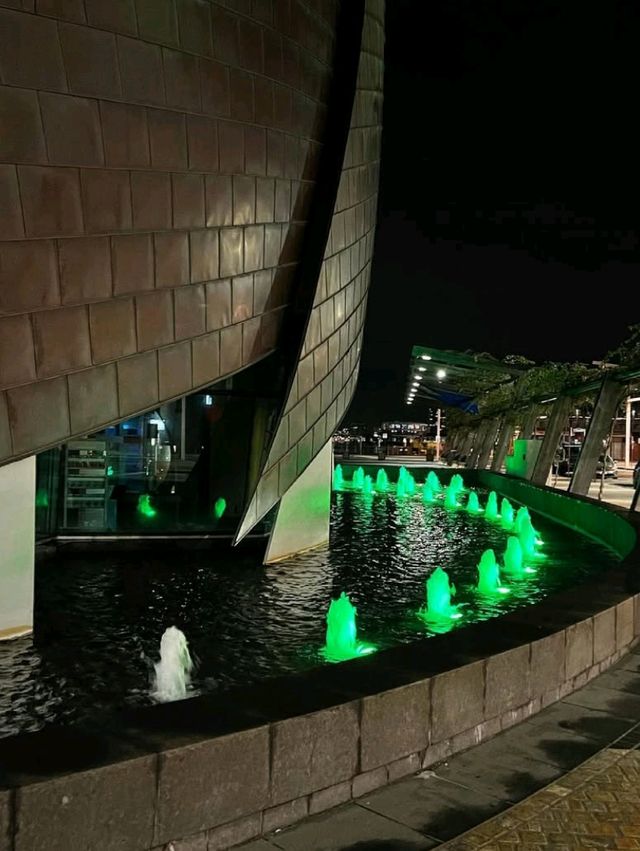 Elizabeth Quay Carousel, Perth, Australia 🦘
