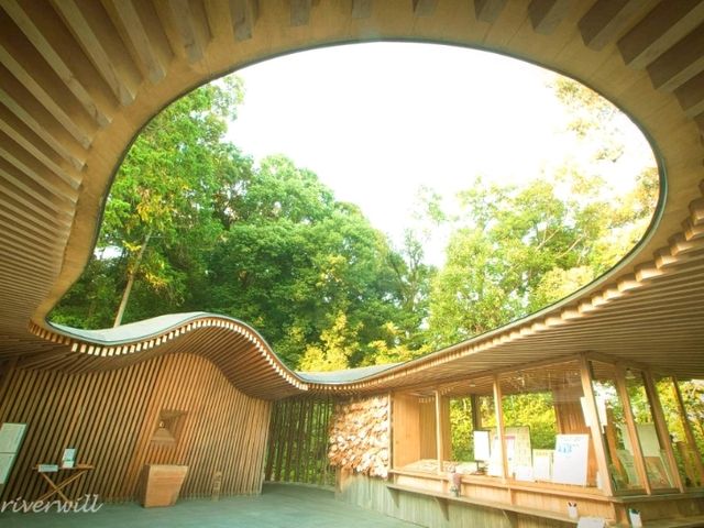 【愛知県】足の神様が祀られた美しいお宮！「白山宮」