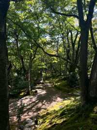 Temple Trails & Chill Hills