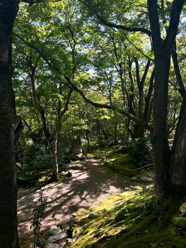 Temple Trails & Chill Hills