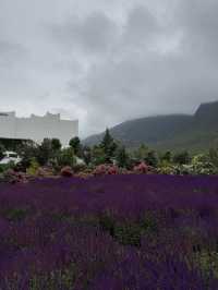 Raindrops & Blossoms: A Dreamy Stroll Through Tinghua Valley