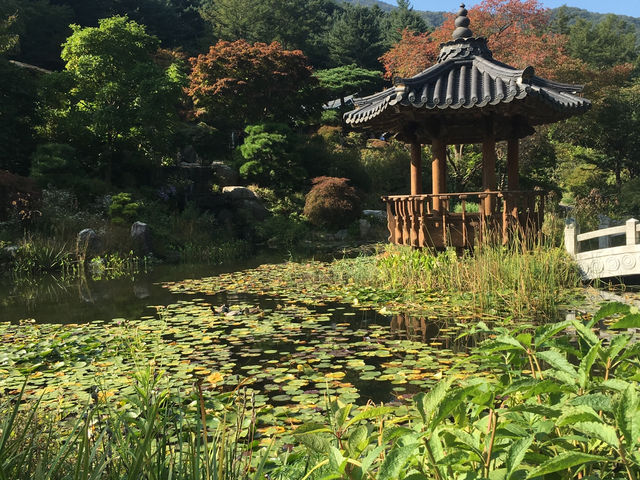 경기도 가평 나들이