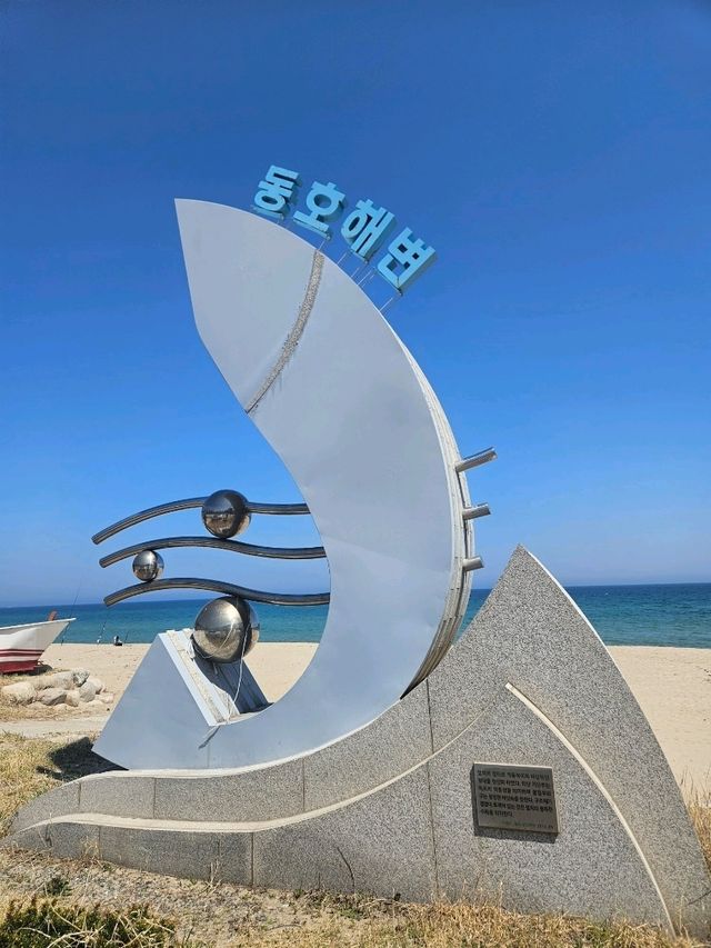 아름다운 바다와 그네가 있는 동호해변 완벽한 야외 데이트 장소입니다