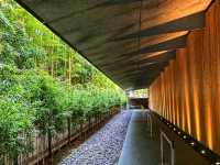 Nezu Museum – Where Art, Architecture, and Nature Meet in Harmony