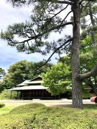 A Relaxing Day Around the Imperial Palace 👑🌿