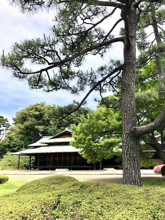A Relaxing Day Around the Imperial Palace 👑🌿