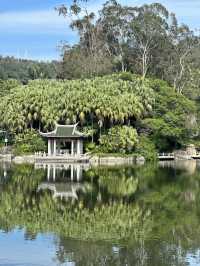 廈門園林植物園太美了
