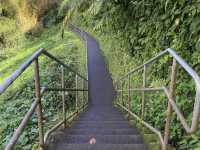 Akaka Falls State Park – Big Island