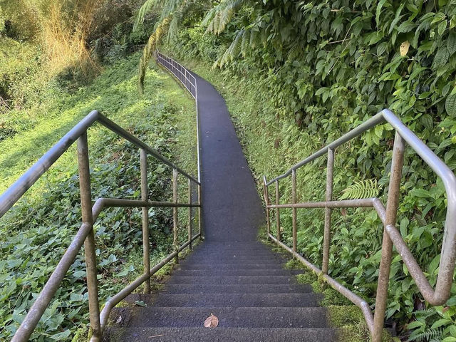 Akaka Falls State Park – Big Island