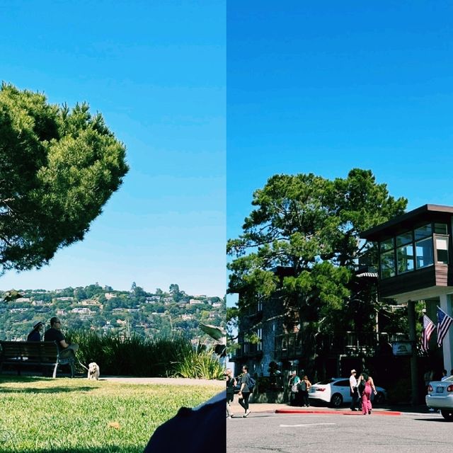 샌프란시스코 1박 2일, 예술과 곡선이 만든 감성 여행