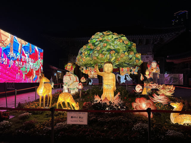 Lanterns and Twilight: My First Night at Bongeunsa Temple