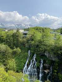 北海道棒球快閃之旅