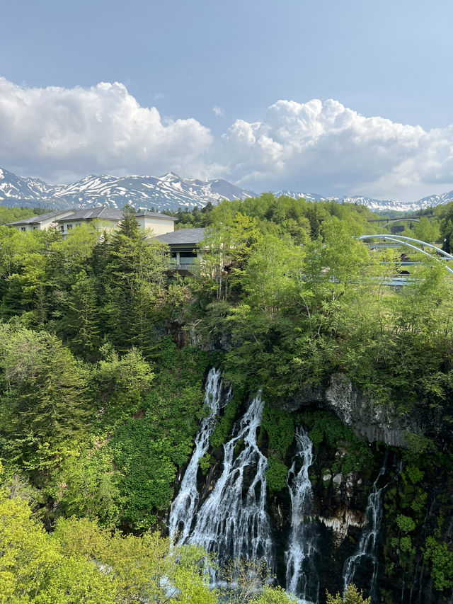 北海道棒球快閃之旅