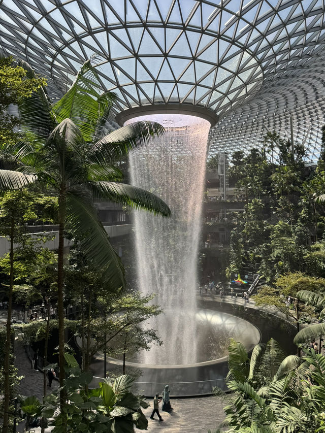 【シンガポール🇸🇬】世界一美しい！？チャンギ空港✈️