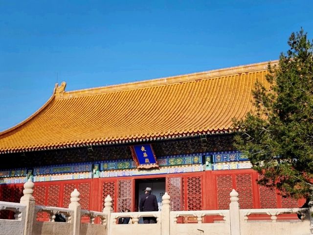 The Dragon's Sanctuary: Unveiling the Forbidden City