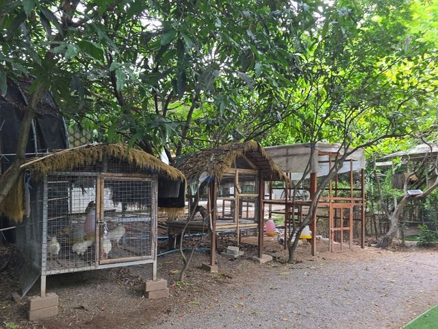 ตามธรรมชาติ Cafe' and Farm