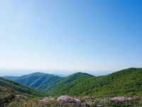 Cool Trails at Hyangjeokbong