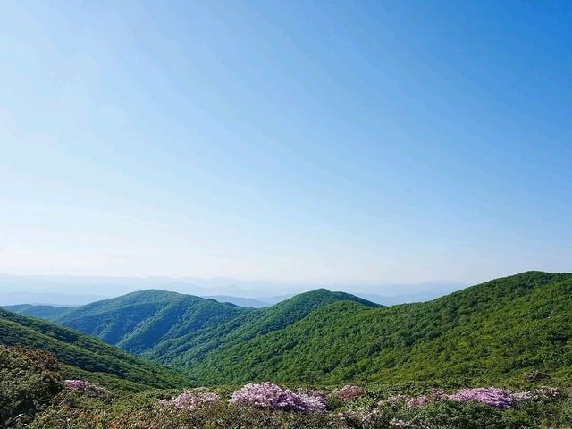 Cool Trails at Hyangjeokbong