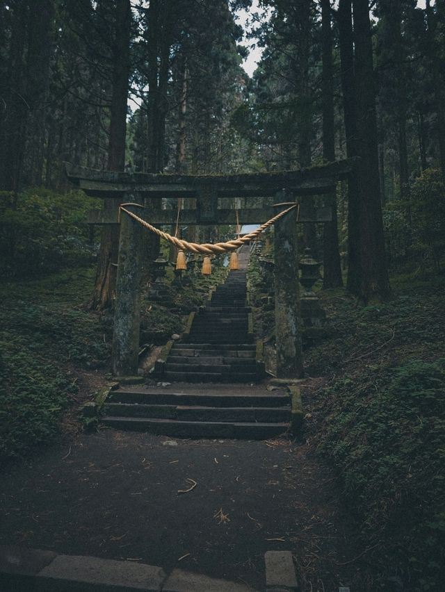 A Hidden Gem Straight Out of a Ghibli Film 🍃⛩️