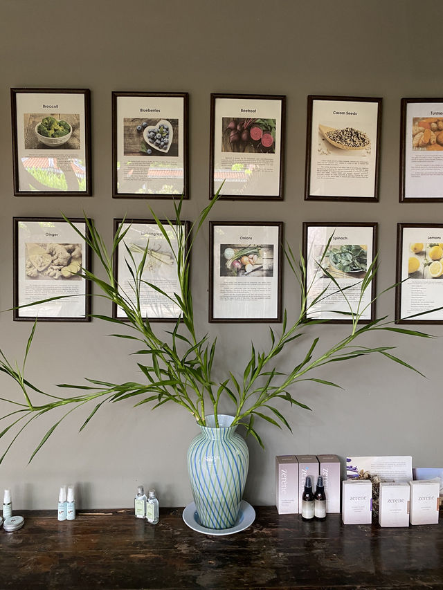 🌿 Chivitr Wellness Retreat