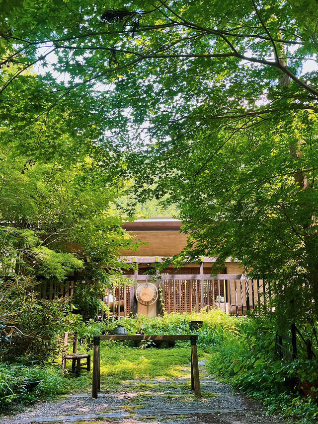 【関市 せきや】刃物のまちで見つけた、心をほどく小さなオアシス🌿🍵