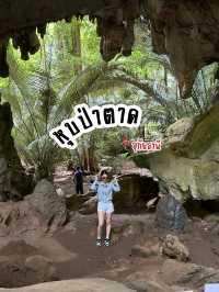 ⛰️ หุบป่าตาด ป่าดึกดำบรรพ์เมืองไทย