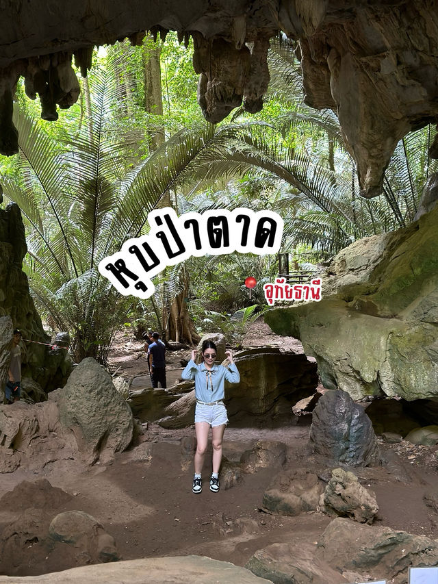 ⛰️ หุบป่าตาด ป่าดึกดำบรรพ์เมืองไทย