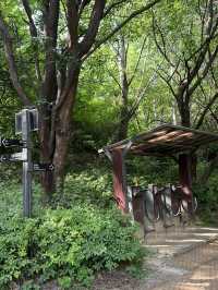 서울 둘레길 7코스