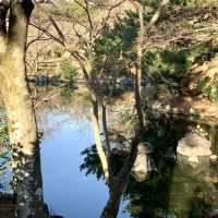 Tranquility at Maruyama Park, Kyoto