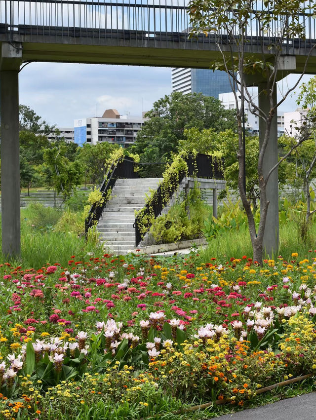 รีวิว สวนเบญจกิติ สถานที่ผ่อนคลายกลางเมือง