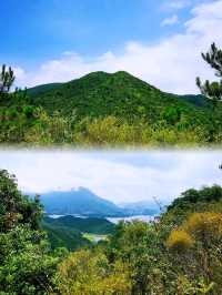 少眾景美雞麻峒