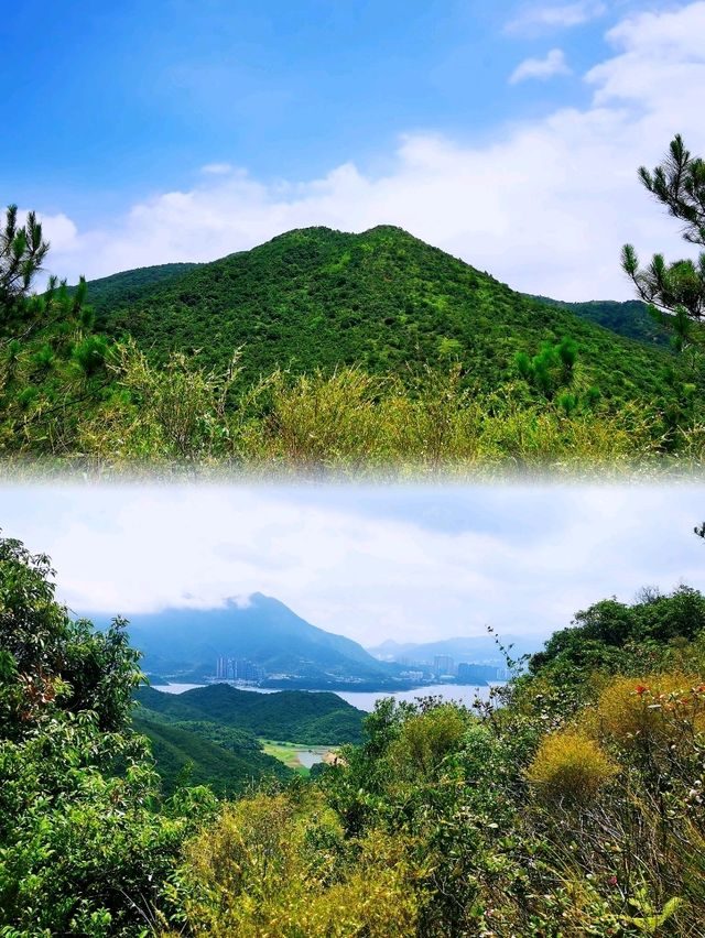 少眾景美雞麻峒